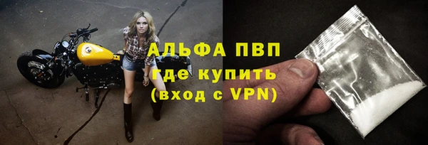 первитин Богданович