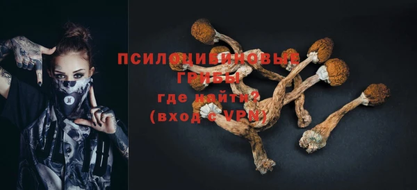 соль курить ск Богородицк