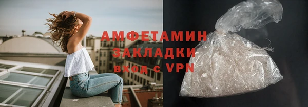ГАЛЛЮЦИНОГЕННЫЕ ГРИБЫ Аркадак