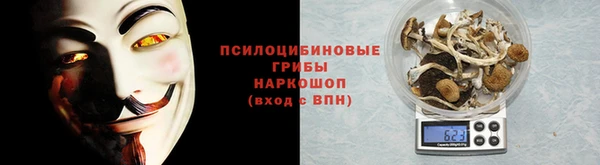 первитин Богданович