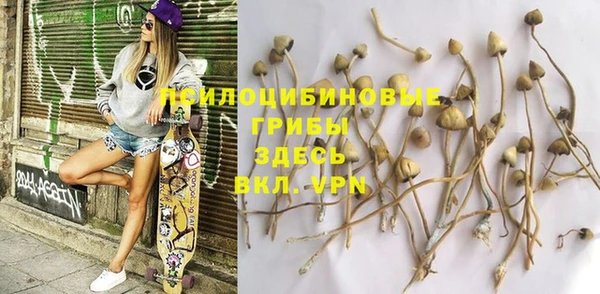 первитин Богданович