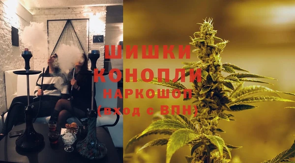 первитин Богданович